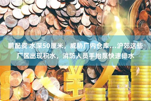 鹏配资 水深50厘米，威胁厂内仓库…沪郊这些厂区出现积水，消防人员手抬泵快速排水