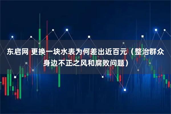 东启网 更换一块水表为何差出近百元（整治群众身边不正之风和腐败问题）