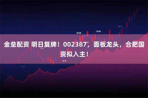 金垒配资 明日复牌！002387，面板龙头，合肥国资拟入主！
