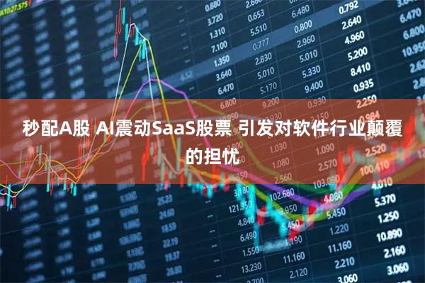 秒配A股 AI震动SaaS股票 引发对软件行业颠覆的担忧