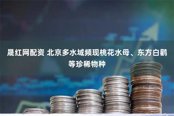 晟红网配资 北京多水域频现桃花水母、东方白鹳等珍稀物种
